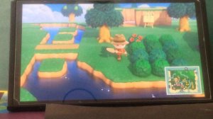 Продолжаем играть в Animal Crossing!😁