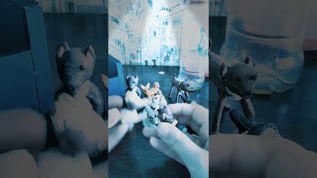 Моя коллекция собак смотреть онлайн