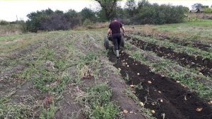 Веерная копалка своими руками.Лучший вариант из культиваторной лапы.Копаем картофель мотоблоком ЗИД