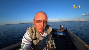 Js Company Nixx Ex 30-80 и Nixx DX 30-100