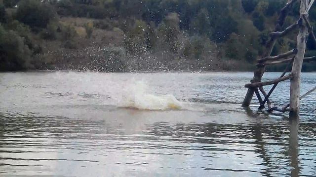 Обучение: как правильно прыгать сальто в воду Ч.#1 смотреть онлайн