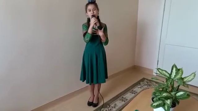 МБОУ "Нижнешитцинская ООШ Сабинского района РТ" Файзрахманова Румия Радисовна, 5 класс смотреть онлайн
