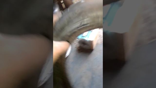 Заплатка на века смотреть онлайн