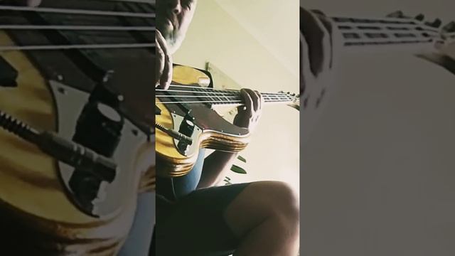 Roman Murashov (Роман Мурашов) Boss Loop Station RC-1 and bass guitar смотреть онлайн