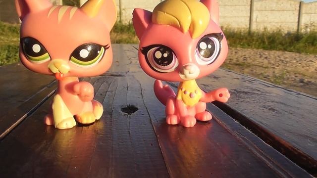 LPS обзор: Сравниваем Littlest Pet Shops из старой коллекции и из новой. смотреть онлайн