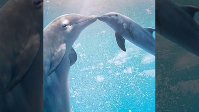 Всё что связано с морем смотреть онлайн