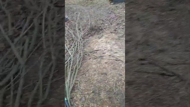 Измельчитель веток с соломорезки смотреть онлайн