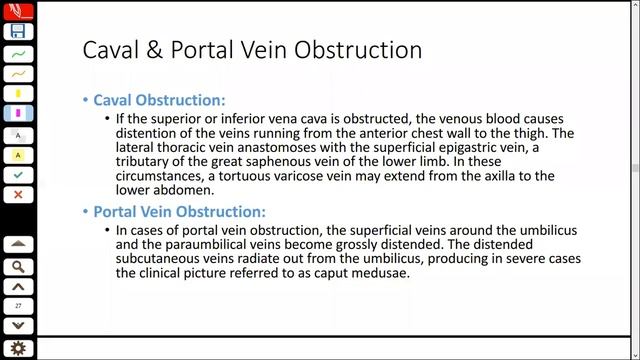The Clinical Notes of GIT - I смотреть онлайн