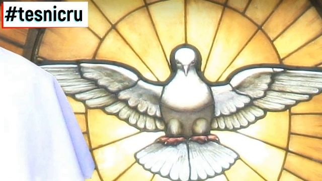 Как победить страх? 10 Самые Странные Фобий! смотреть онлайн