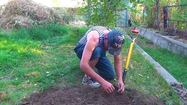 8 Повезло выкопать самородок (2).mp4 смотреть онлайн