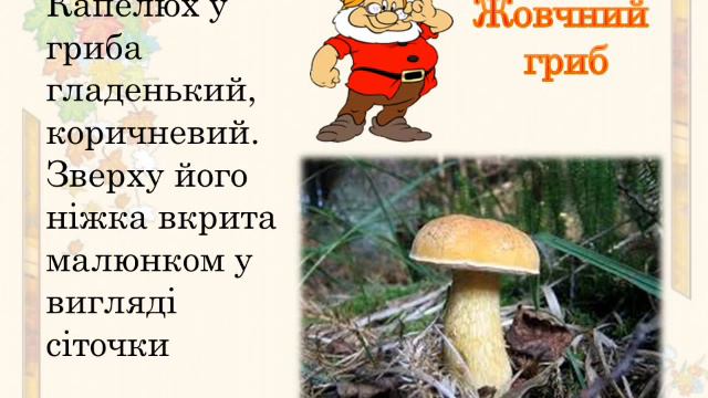 У ліс по гриби смотреть онлайн