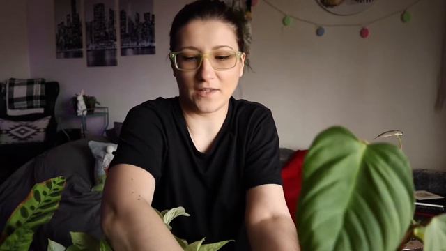 Spring Houseplant Growth - Everyone is waking up! Spring Vibes 2022 смотреть онлайн