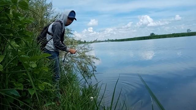 МОЙ ТРОФЕЙНЫЙ БЕРШ. Я таких бершей еще не ловил. Рыбалка на судака берша и окуня . Рыбалка на велик смотреть онлайн