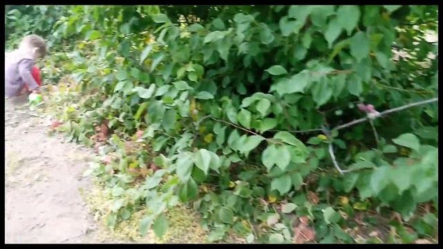 Уезжаем домой. А напоследок огород! смотреть онлайн