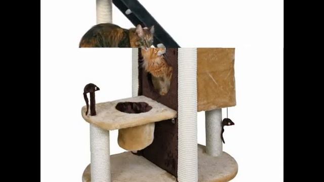 угловой туалет домик для кошек смотреть онлайн