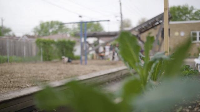 #BuddingBotanist: Academy for Global Citizenship смотреть онлайн