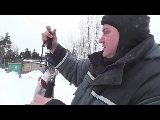 Р.Д. Юрлово. ВИП зона. 08.03.2024 смотреть онлайн