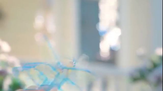 Дневник Flying Fairy 35802 Бабочка, вылетающая из книги! смотреть онлайн