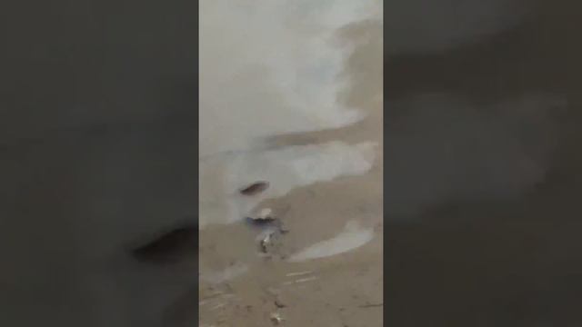 Какое красивое чёрное море😂 смотреть онлайн