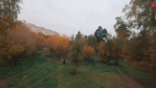 @kkinchevzona - Осень