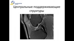 Базовый курс по МРТ «МР анатомия коленного сустава и методика сбора данных 2»  Лектор  Катков А М