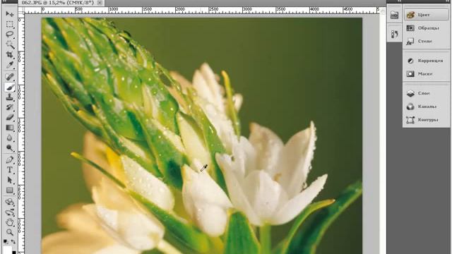 Новое в Photoshop CS5   12 Изменение размера и жесткости кисти Выбор цвета