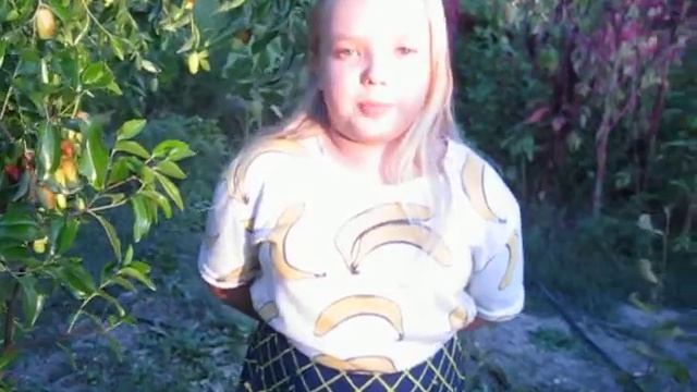 Видео про зизифус. смотреть онлайн