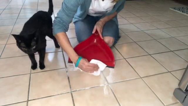 How to easily clean up a dropped egg смотреть онлайн