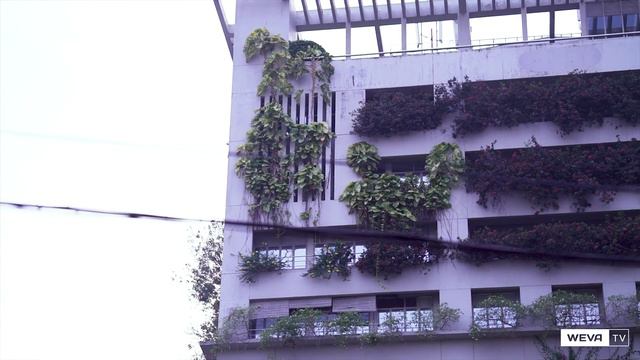 V-Guard's Green Building at Vennala смотреть онлайн