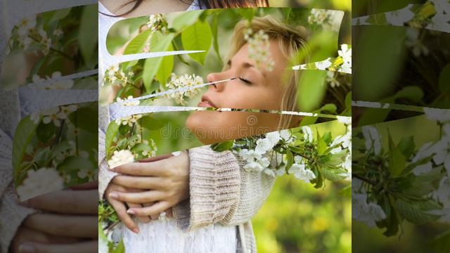 В моём саду АНДРЕЙ АНТОНЕНКО. смотреть онлайн