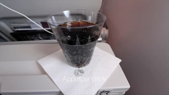 QATAR AIRWAYS A380-800 ECONOMY CLASS QR041 PARIS - DOHA смотреть онлайн