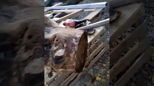 Как сделать столик из пенька своими руками ч.1 смотреть онлайн