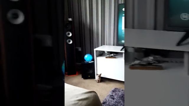 sound test Jamo Studio S 626 HCS and Yamaha RXV781 7 Channel AV Receiver just running in 2.1 смотреть онлайн