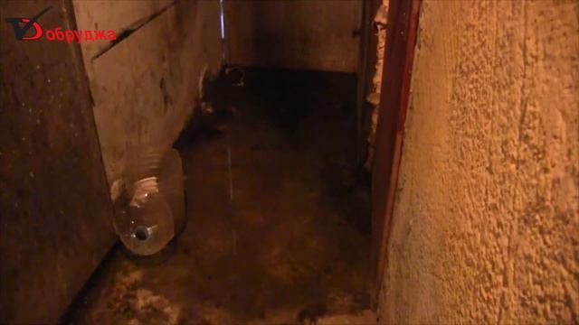 Теч с питейна вода образува мини кладенец и пълни мазите на бл 59 на Строител смотреть онлайн