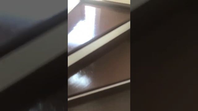 LG Xboom OL100 İnsane Loudness Test At House? смотреть онлайн