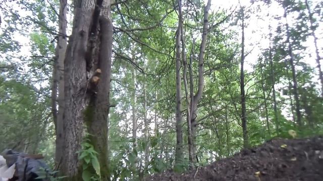 СТРОЮ ЗЕМЛЯНКУ В ЛЕСУ. СЛОМАЛ ПЕЧЬ, ЭТО ПРОВАЛ!!! ПОЛЫ ПОЧТИ ГОТОВЫ! смотреть онлайн