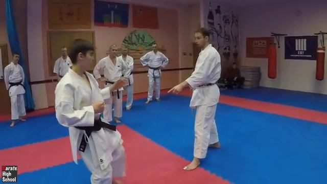 Кокуцу дачи. Работа бёдер. Применение в поединке | Александр Чичварин смотреть онлайн