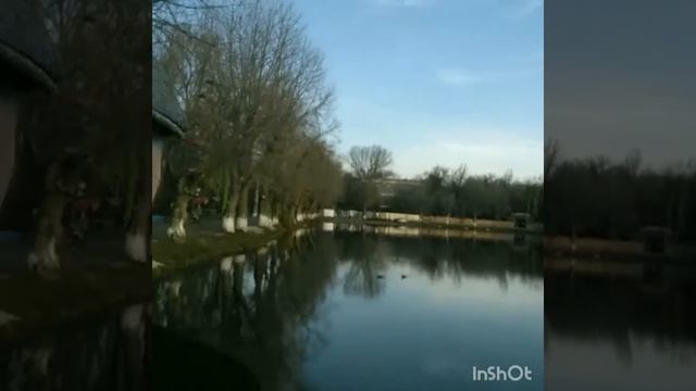 Есть в этом парке чУдный пруд ... )).mp4 смотреть онлайн