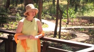 Из чего сделать дорожки на даче