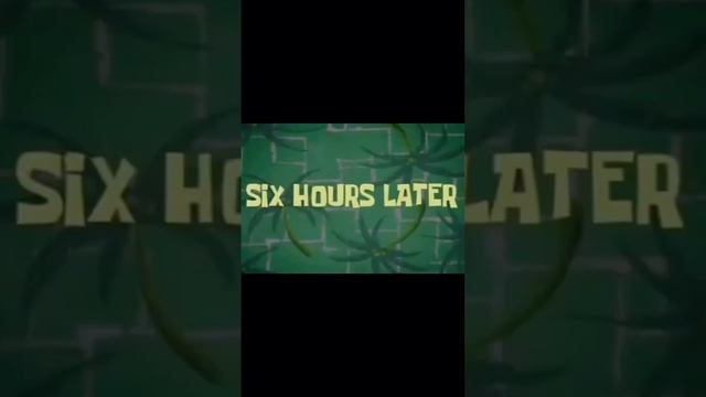 Саша-фитоняша и судорожные взвешивания. смотреть онлайн