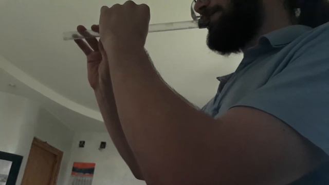 belliavesha - everything is going accordig to plan (Grazhdanskaya Oborona shitty flute cover) смотреть онлайн