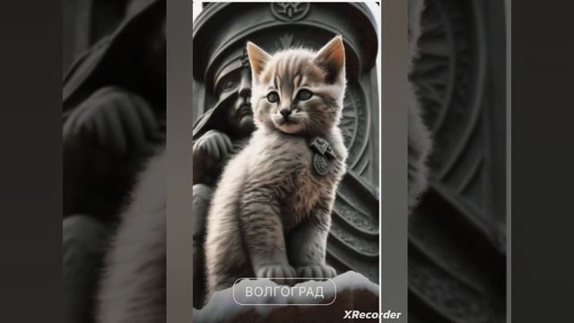 котики 2 часть монтировала я смотреть онлайн