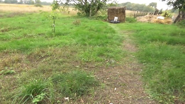 Легкий арбалет и составной лук. Как это работало на охоте ч.1 смотреть онлайн