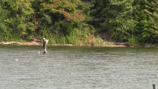 Красивые места(Дневник рыболова) смотреть онлайн