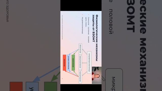 лекции продолжение(1) смотреть онлайн