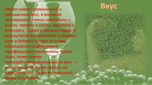 Мерло виноград(технический сорт) смотреть онлайн