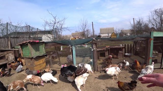 ИНДОУТКИ НЕ НЕСУТСЯ. Подготовка к новому сезону