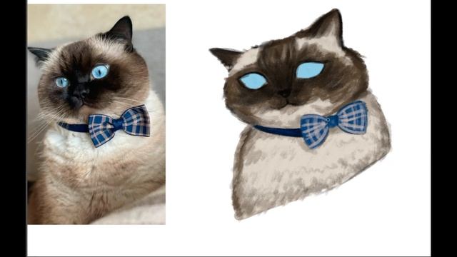 Рисую кота в Adobe Photoshop | Как я рисую кота смотреть онлайн