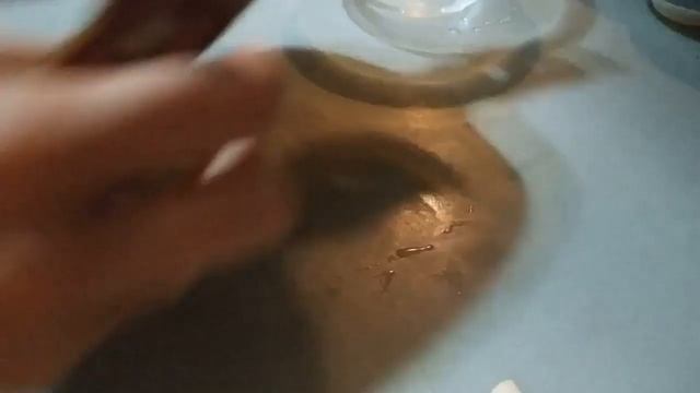 Жюльен с грибами в тарталетках. Вкуснятина!!!! смотреть онлайн