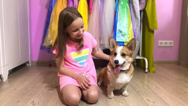 Соня понимает язык своей собаки корги Перси. Видео для детей про лучший день в жизни одной собаки. смотреть онлайн